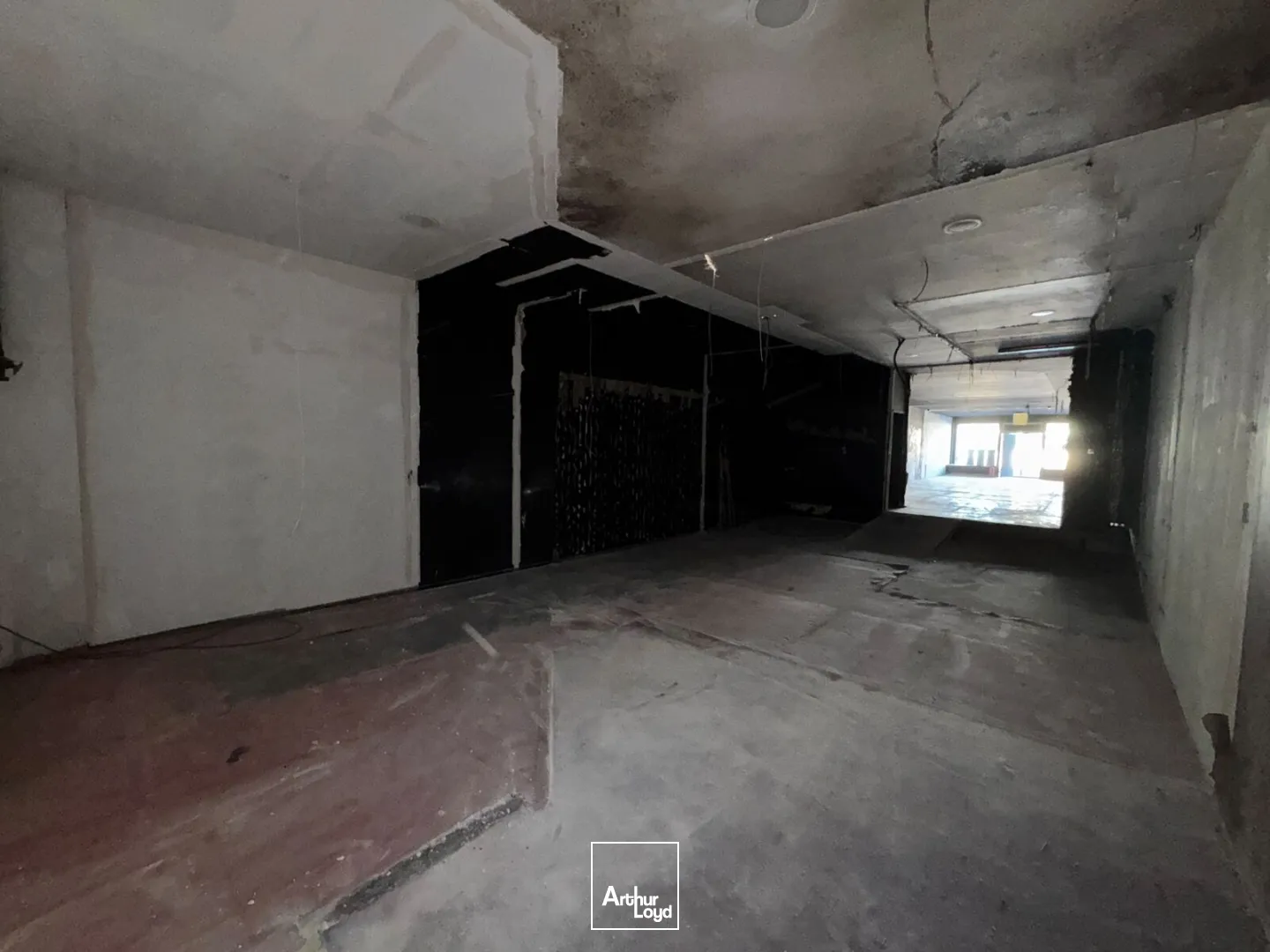 Locaux commerciaux - Location - BORDEAUX - 33000 - 180-797 - 7979676