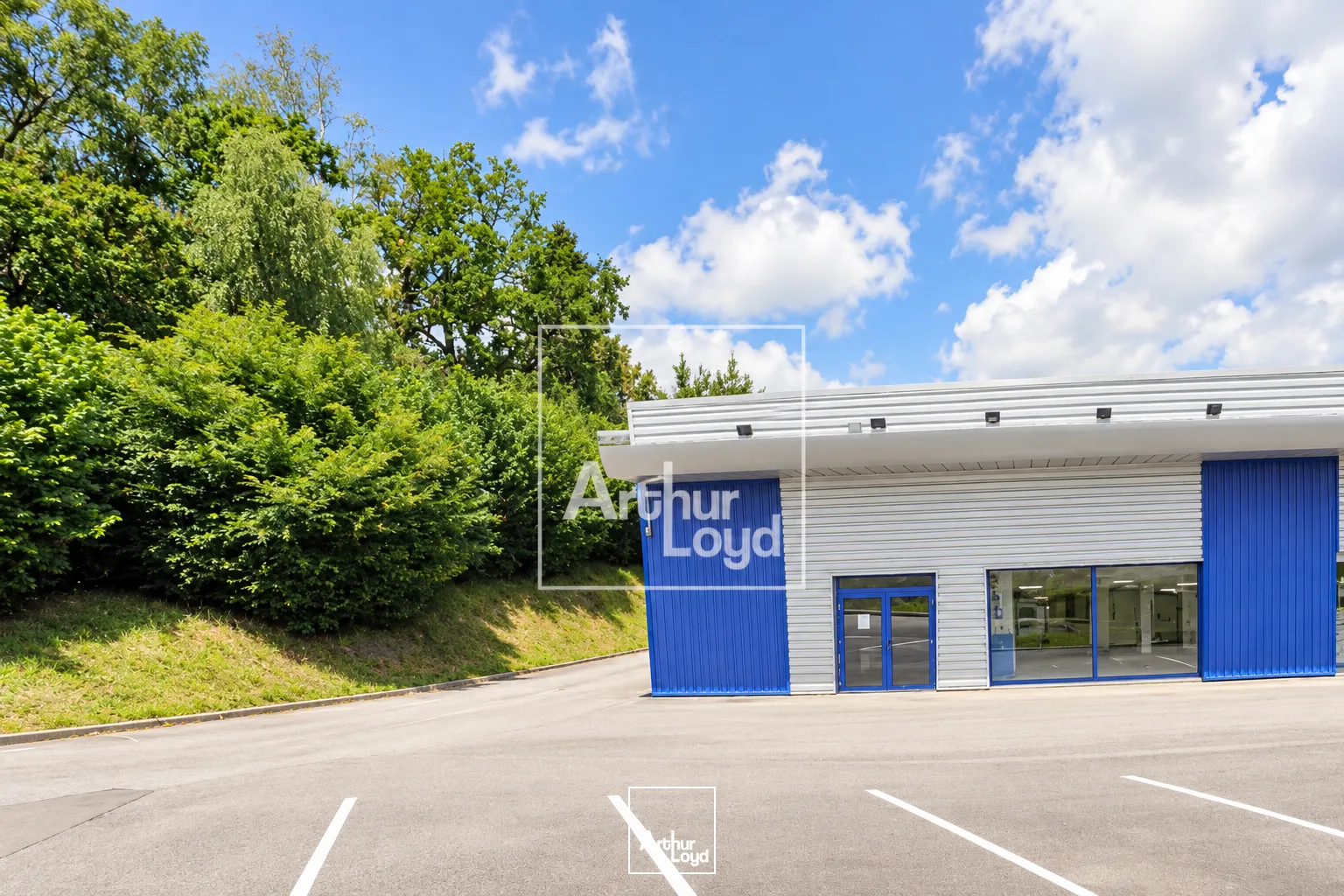 Locaux commerciaux - Location - LIMOGES - 87280 - 240-240 - 7980201