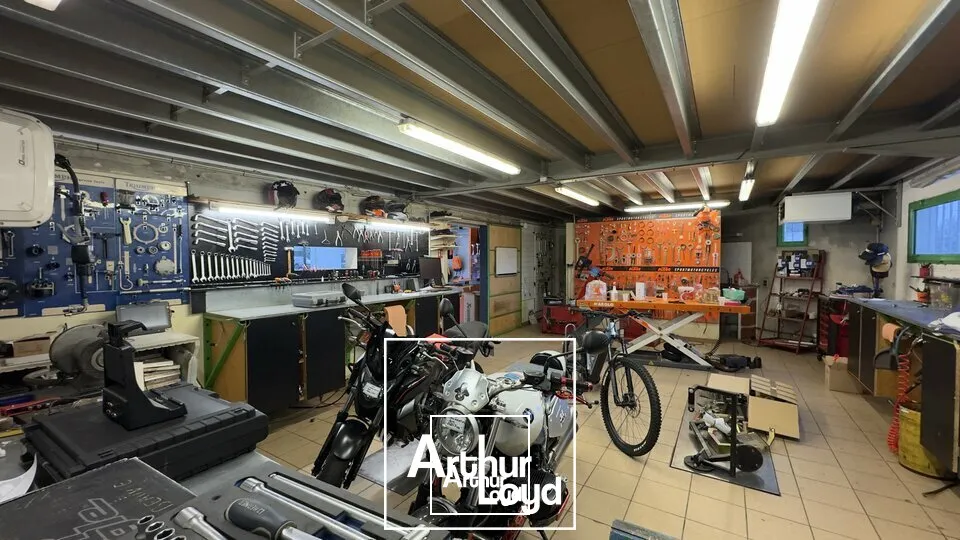 Locaux commerciaux - Location - BRIVE-LA-GAILLARDE - 19100 - 300-300 - 7980373