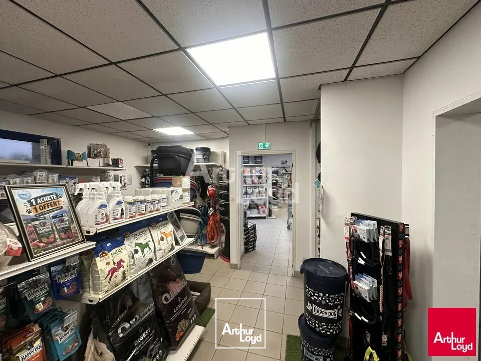 Locaux d'activité & Entrepôts - Vente - BAIN-DE-BRETAGNE - 35470 - 585-585 - 7980399