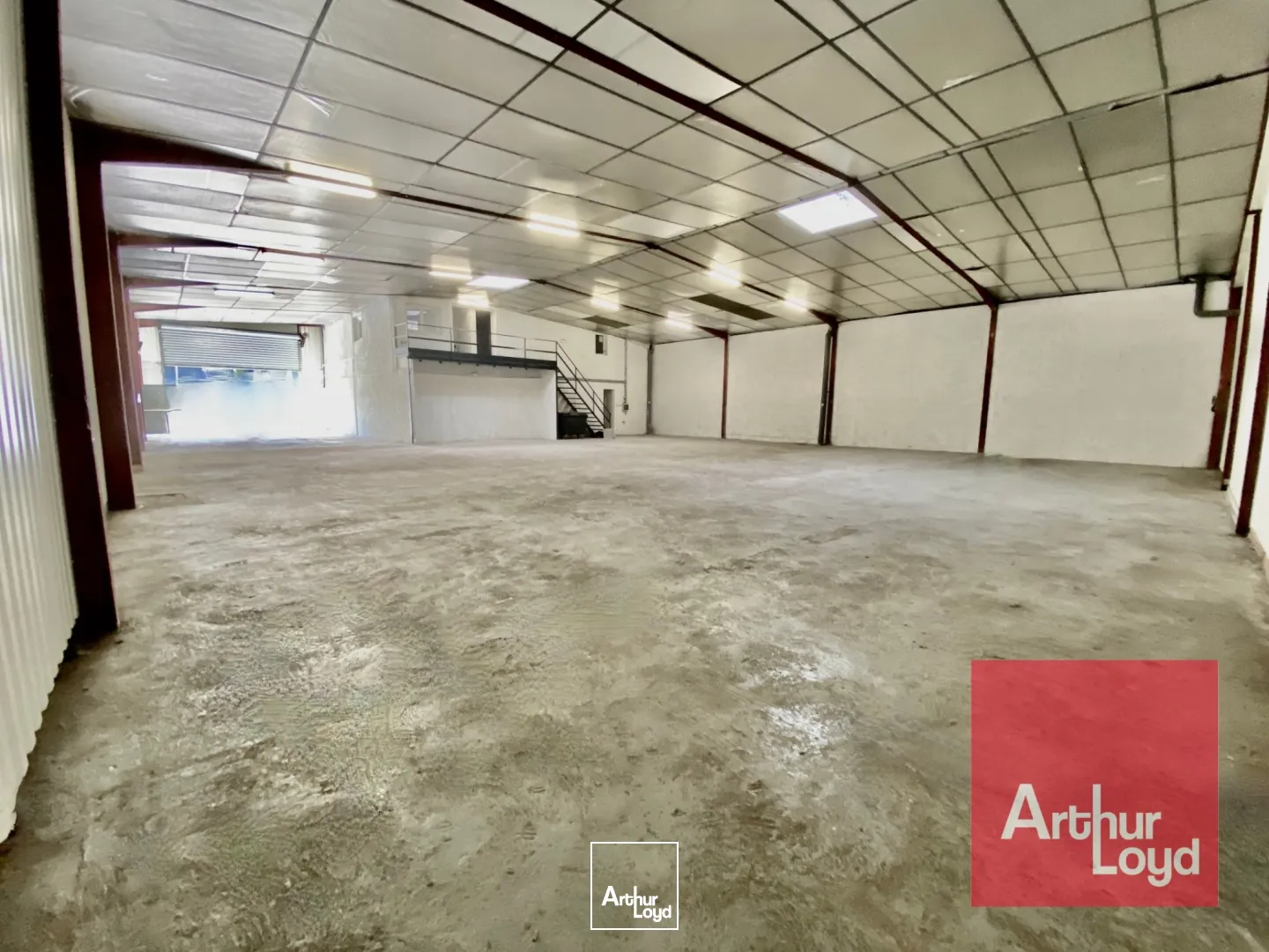 Locaux d'activité & Entrepôts - Location - SAINT JEAN DE VEDAS - 34430 - 600-600 - 7980720