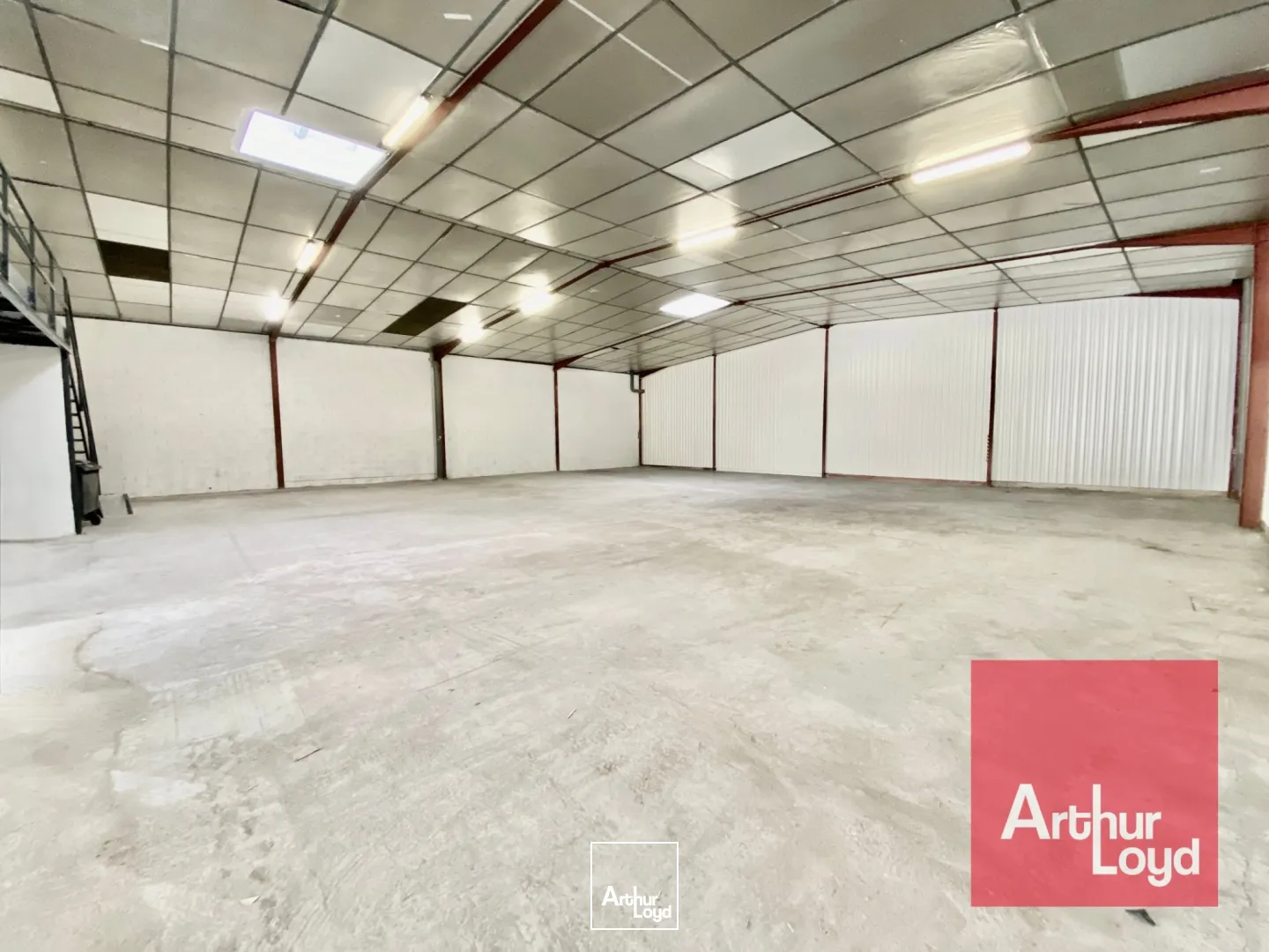 Locaux d'activité & Entrepôts - Location - SAINT JEAN DE VEDAS - 34430 - 600-600 - 7980718