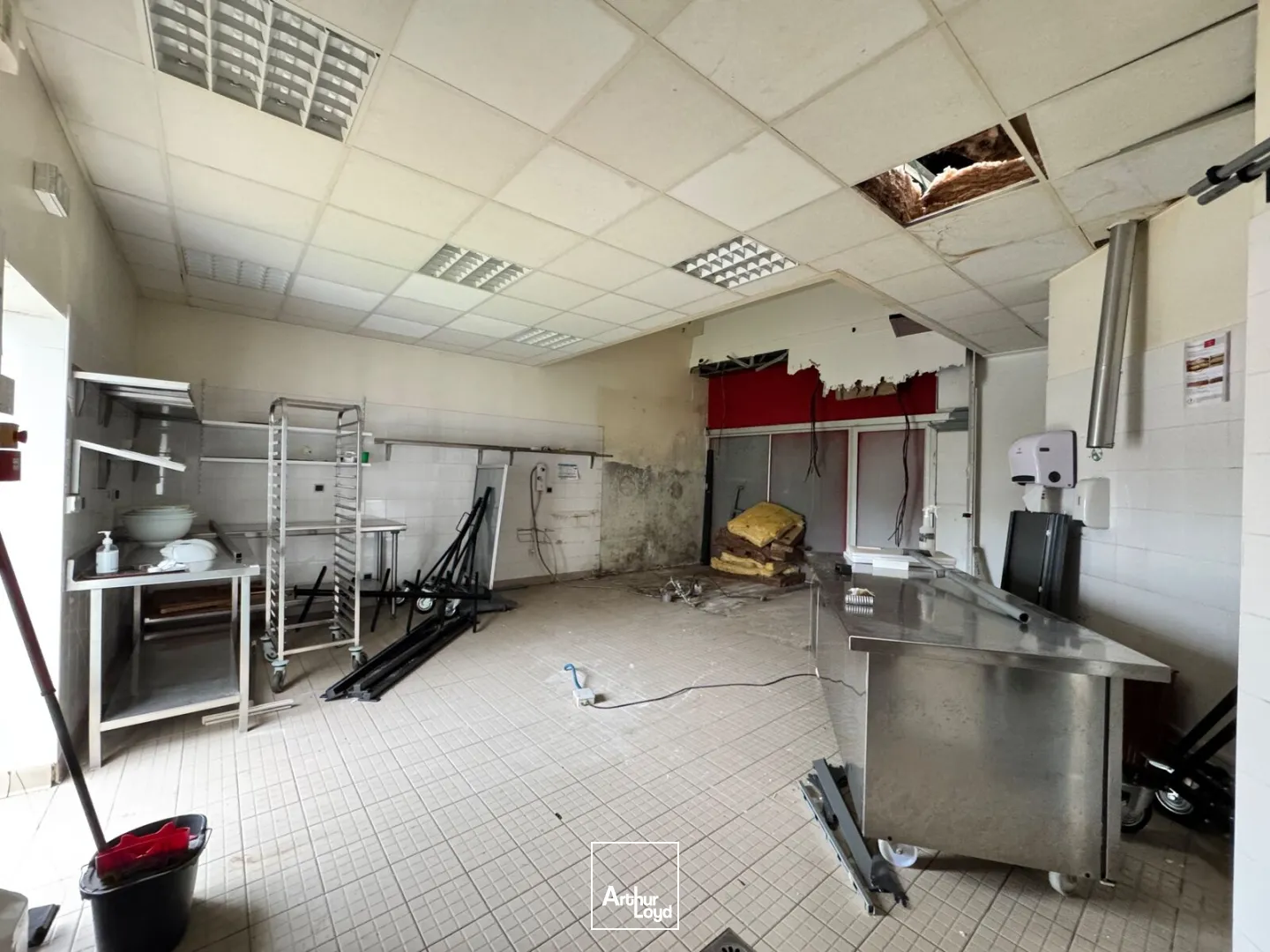 Locaux commerciaux - Vente - BOIS GUILLAUME - 76230 - 97-97 - 7980813