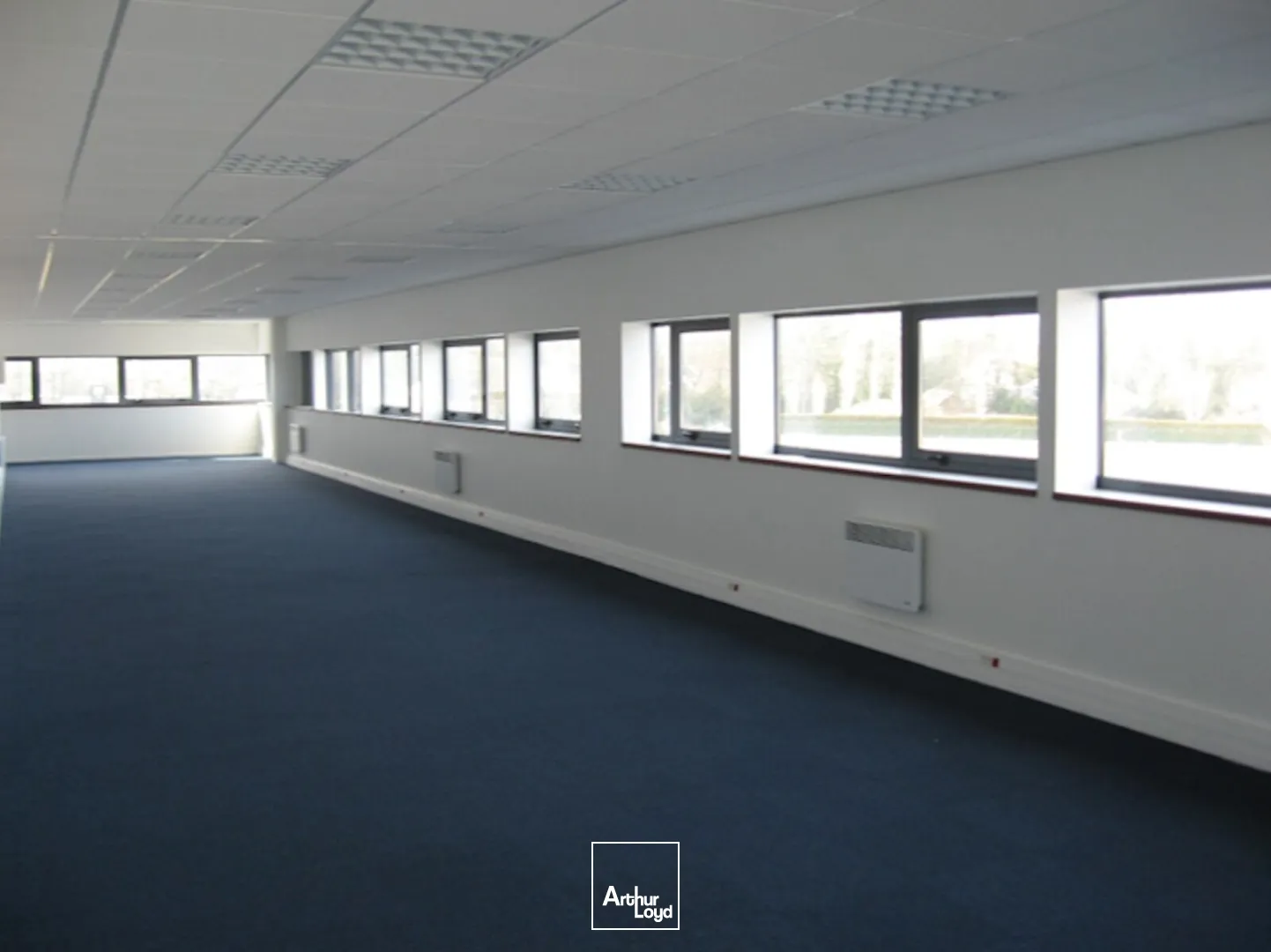 Locaux d'activité & Entrepôts - Location - TREILLIERES - 44119 - 1060-1060 - 7980941