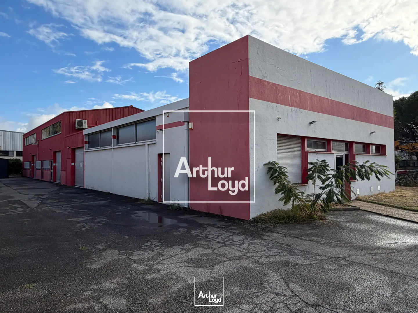 Locaux d'activité & Entrepôts - Vente - TOULOUSE - 31100 - 848-848 - 7981069