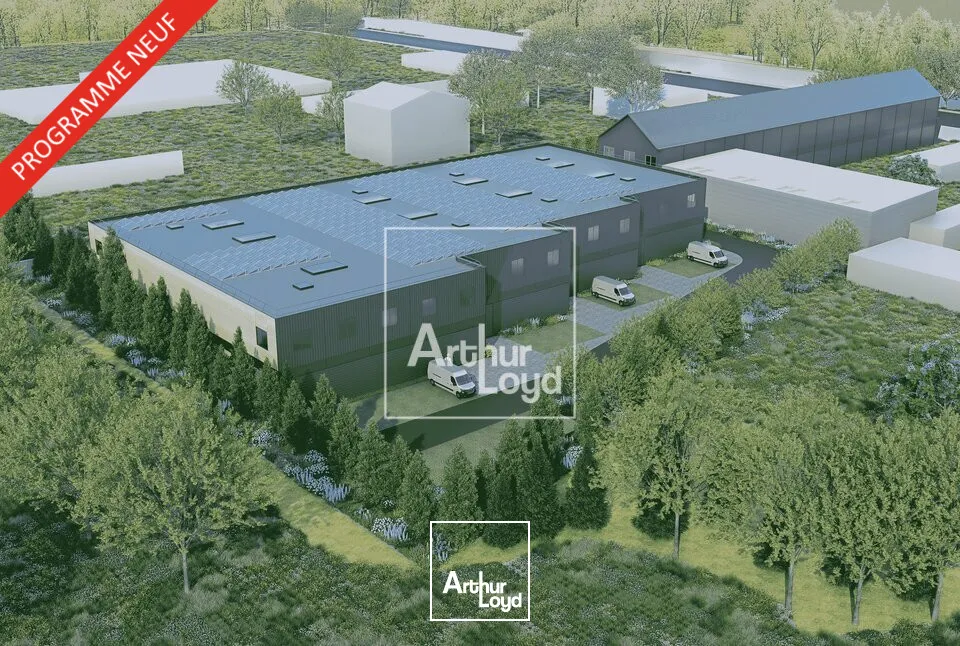Locaux commerciaux - Location - BRIE-COMTE-ROBERT - 77170 - 459-922 - 7981481