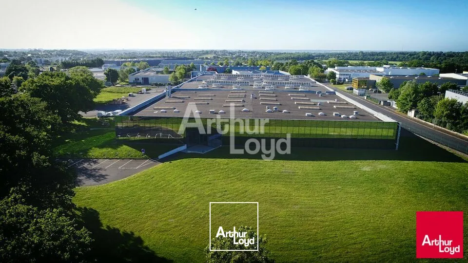 Locaux d'activité & Entrepôts - Vente - BEAUCOUZÉ - 49070 - 8186-8186 - 7981494