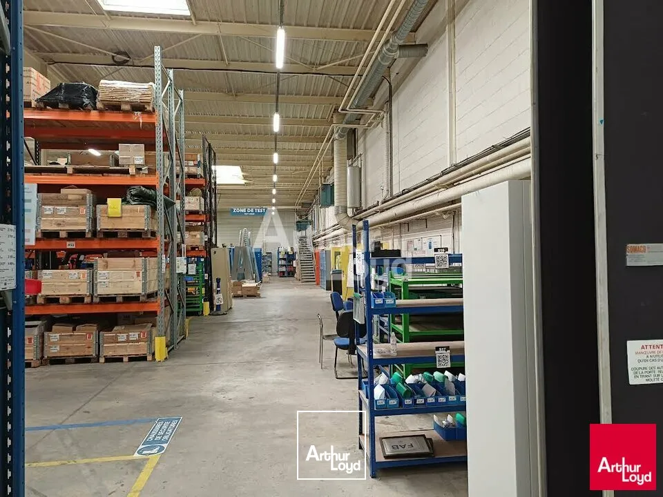 Locaux d'activité & Entrepôts - Vente - BEAUCOUZÉ - 49070 - 8186-8186 - 7981495