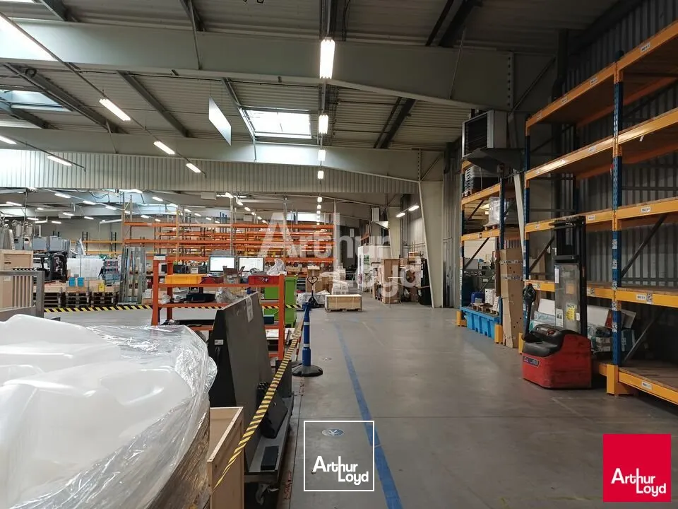 Locaux d'activité & Entrepôts - Vente - BEAUCOUZÉ - 49070 - 8186-8186 - 7981496