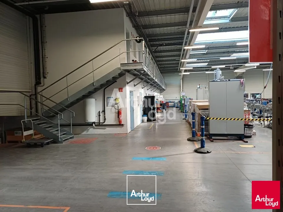Locaux d'activité & Entrepôts - Vente - BEAUCOUZÉ - 49070 - 8186-8186 - 7981497