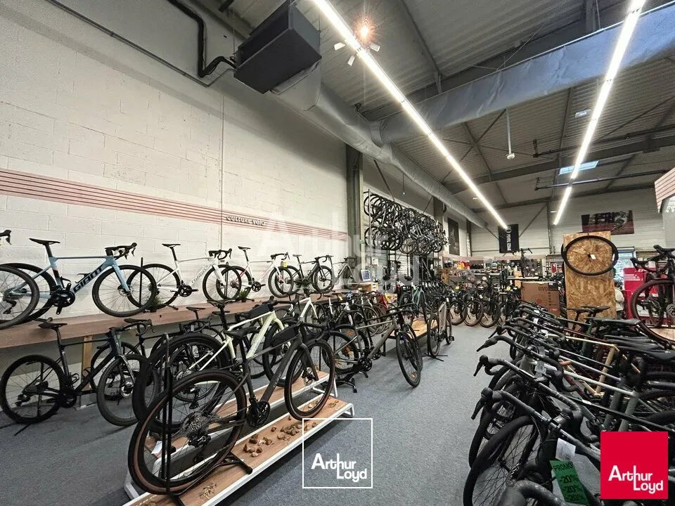 Locaux commerciaux - Location - VINEUIL - 41350 - 500-500 - 7981500