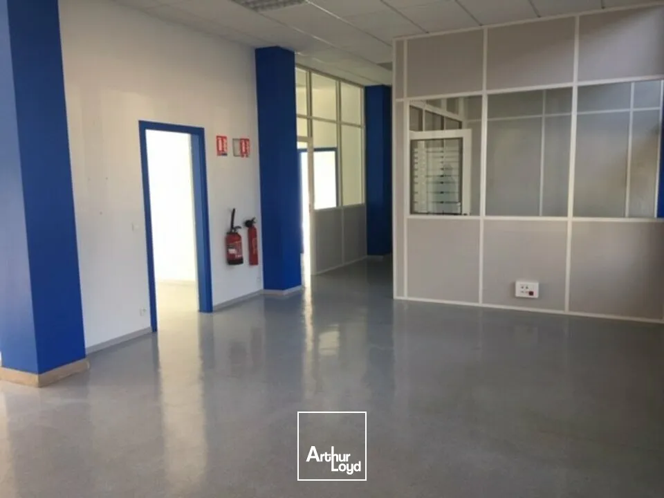 Bureaux - Location - MULHOUSE - 68100 - 24-187 - 7990051