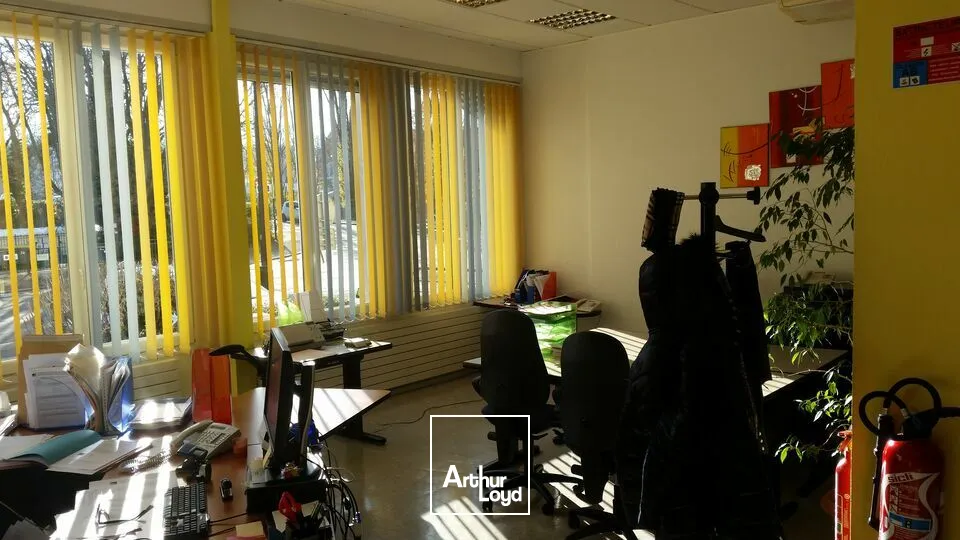 Bureaux - Location - MULHOUSE - 68100 - 24-187 - 7990052