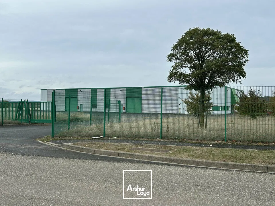 Locaux d'activité & Entrepôts - Location - MORVILLE-LÈS-VIC - 57170 - 2016-2016 - 8001388