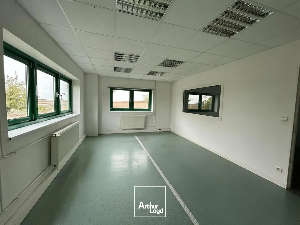 Locaux d'activité & Entrepôts - Location - MORVILLE-LÈS-VIC - 57170 - 2016-2016 - 8001390