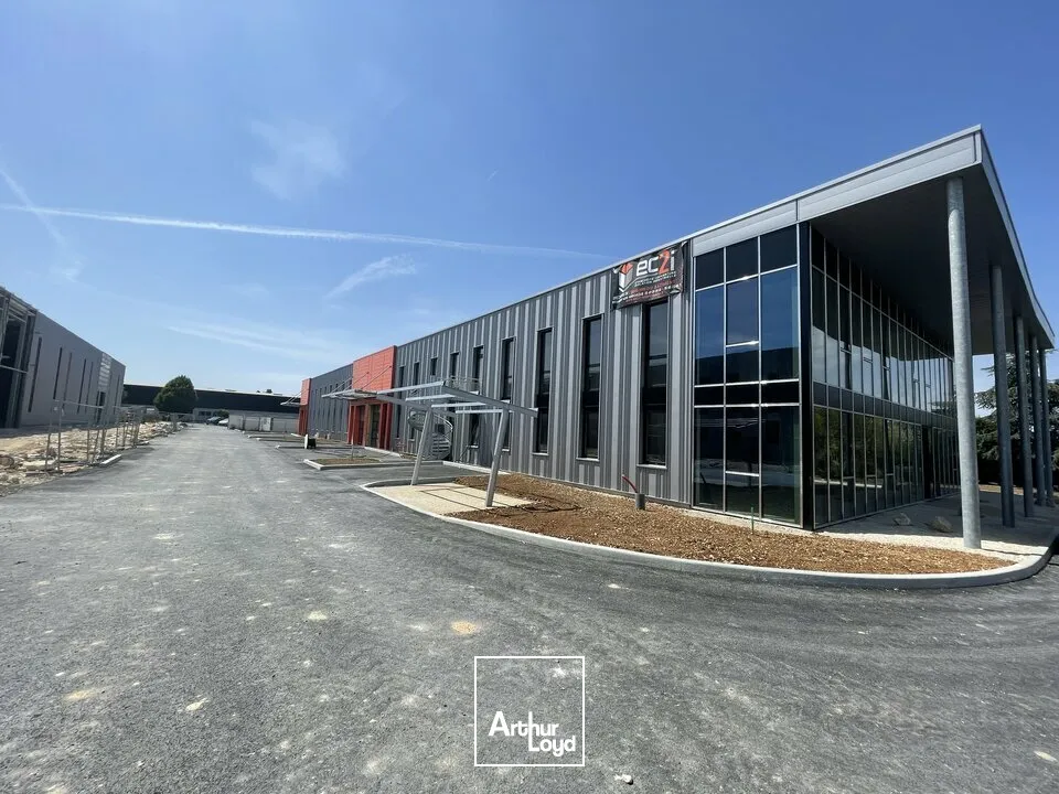 Locaux d'activité & Entrepôts - Location - NIORT - 79000 - 346-346 - 8007243
