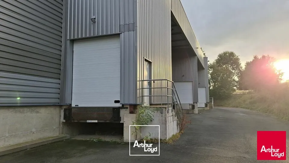Locaux d'activité & Entrepôts - Location - SAINT-SATURNIN - 72650 - 2400-2400 - 8012889