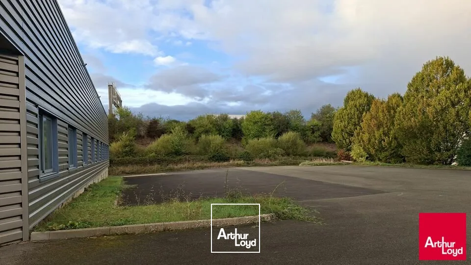Locaux d'activité & Entrepôts - Location - SAINT-SATURNIN - 72650 - 2400-2400 - 8012890