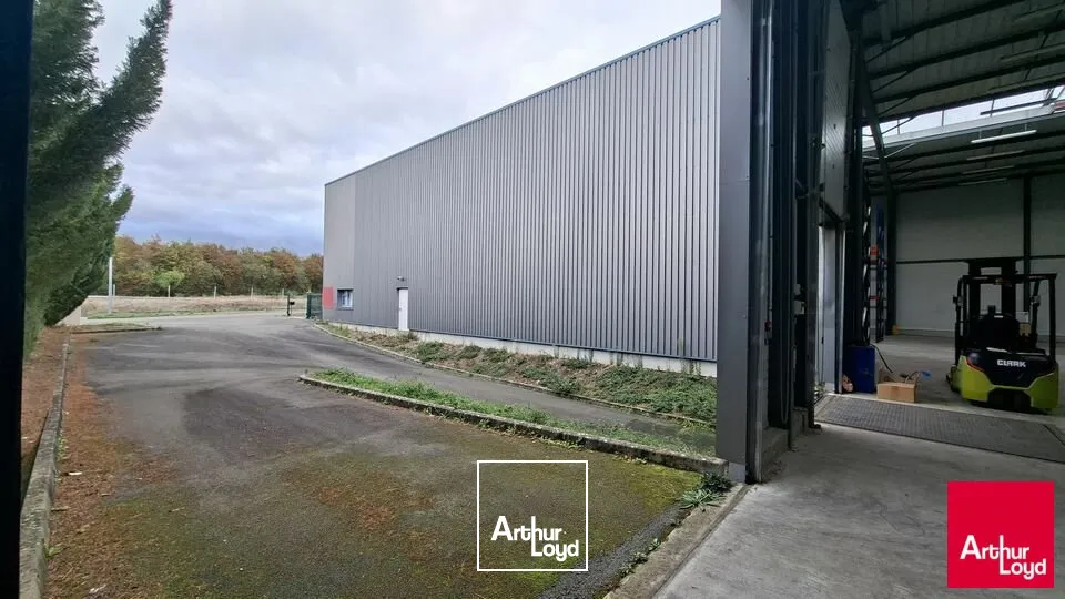 Locaux d'activité & Entrepôts - Location - SAINT SATURNIN - 72650 - 1320-1320 - 8012896