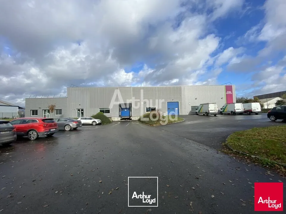 Locaux d'activité & Entrepôts - Vente - SAINT ETIENNE EN COGLES - 35460 - 1520-1520 - 8012961