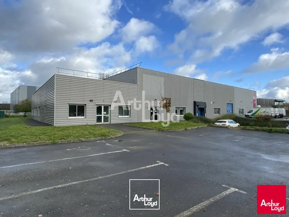 Locaux d'activité & Entrepôts - Vente - SAINT ETIENNE EN COGLES - 35460 - 1520-1520 - 8012962