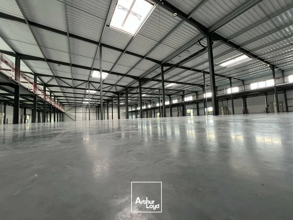 Locaux d'activité & Entrepôts - Location - CHAMPNIERS - 16430 - 616-616 - 8019524