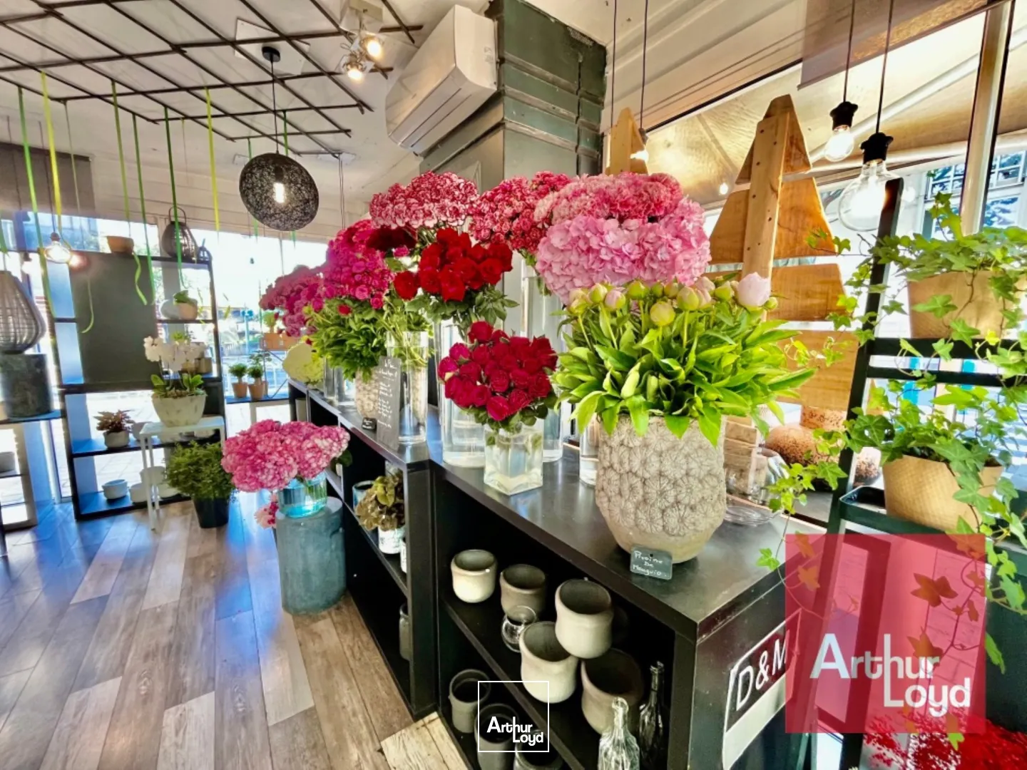 Fonds de commerce - Cession - MONTPELLIER - 34000 - 29-29 - 8033076