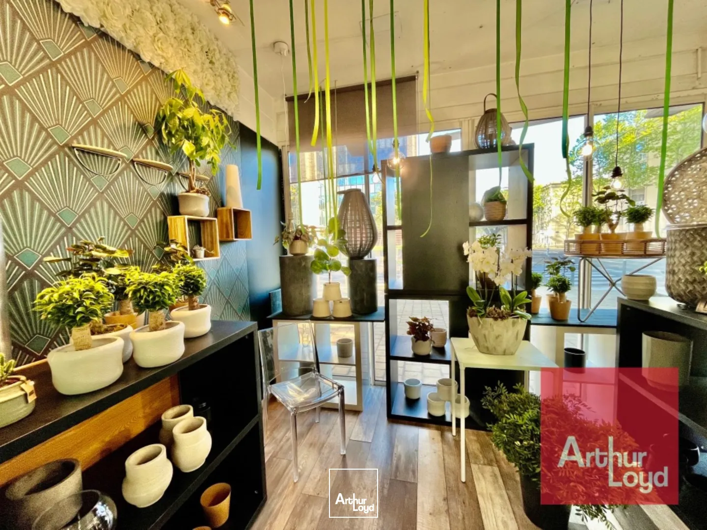 Fonds de commerce - Cession - MONTPELLIER - 34000 - 29-29 - 8033079