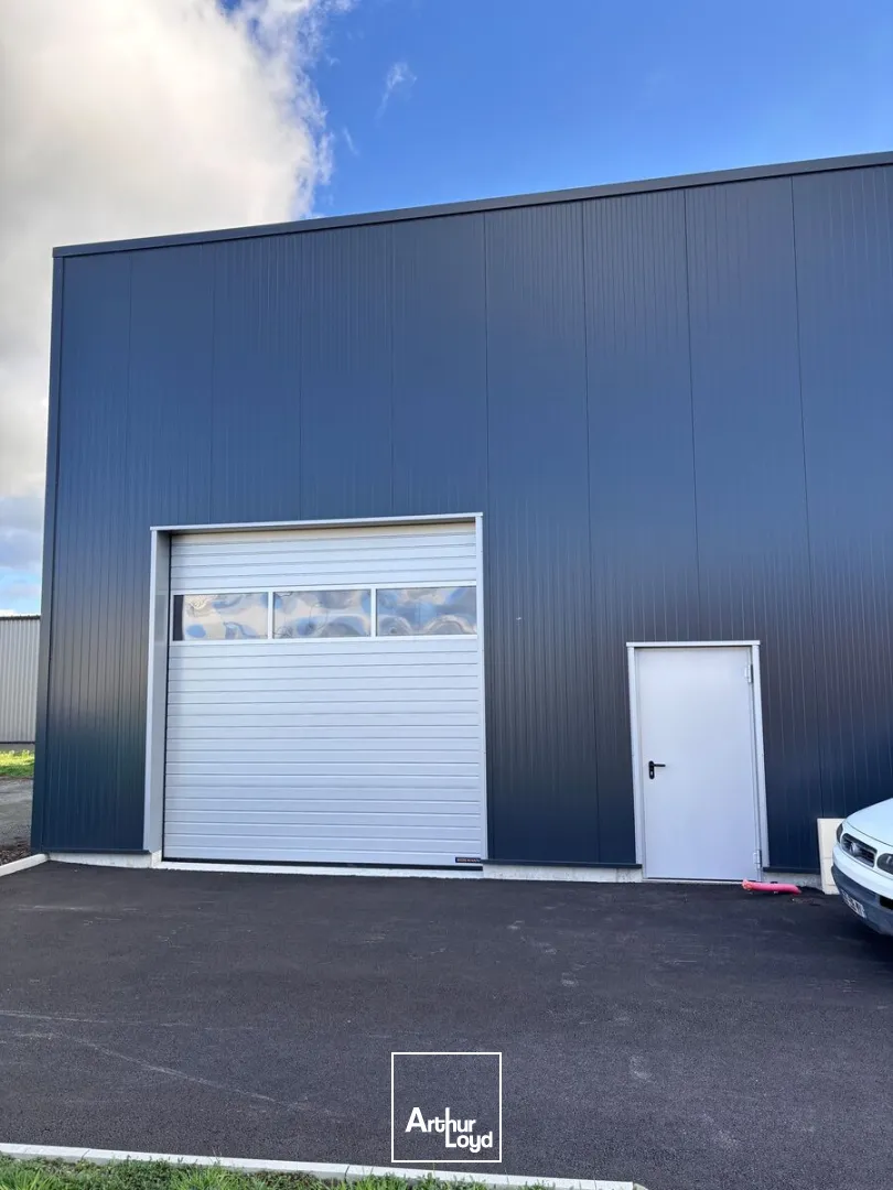 Locaux d'activité & Entrepôts - Location - MACHECOUL - 44270 - 140-300 - 8035661
