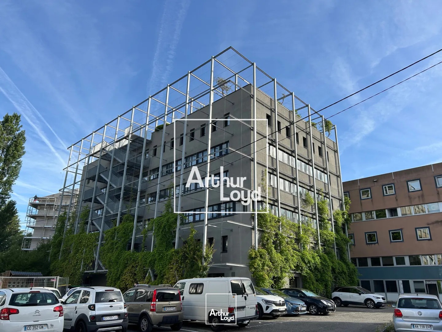 Bureaux - Location - TOULOUSE - 31400 - 1631.6-2031.6 - 8064788