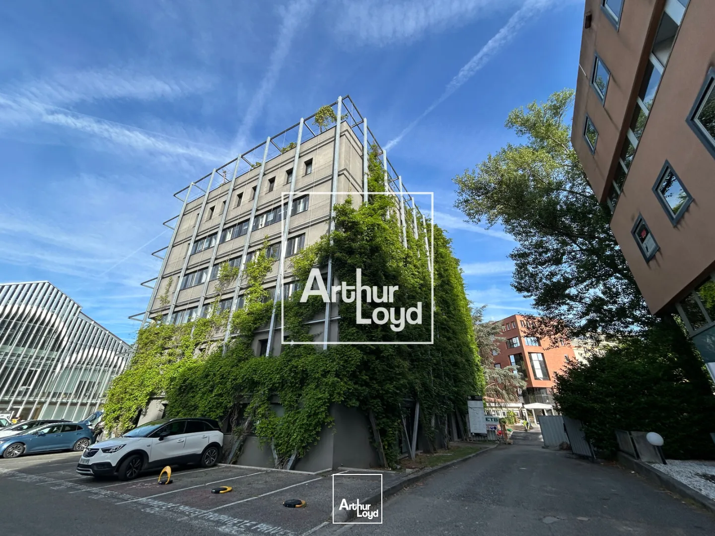 Bureaux - Location - TOULOUSE - 31400 - 1631.6-2031.6 - 8064789
