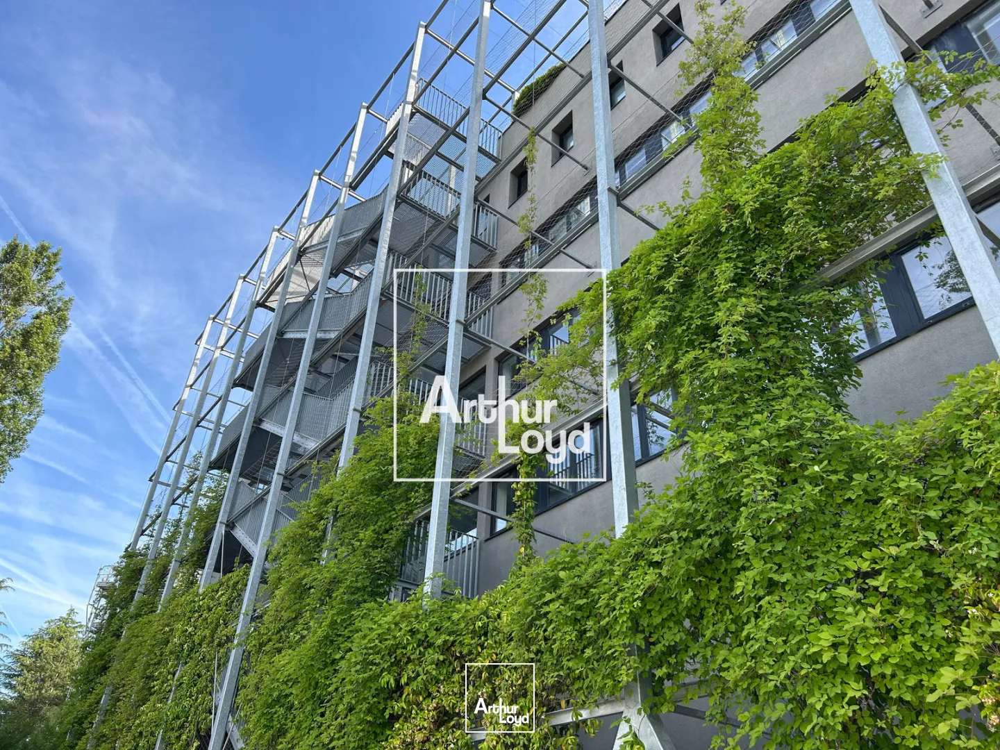 Bureaux - Location - TOULOUSE - 31400 - 1631.6-2031.6 - 8064790