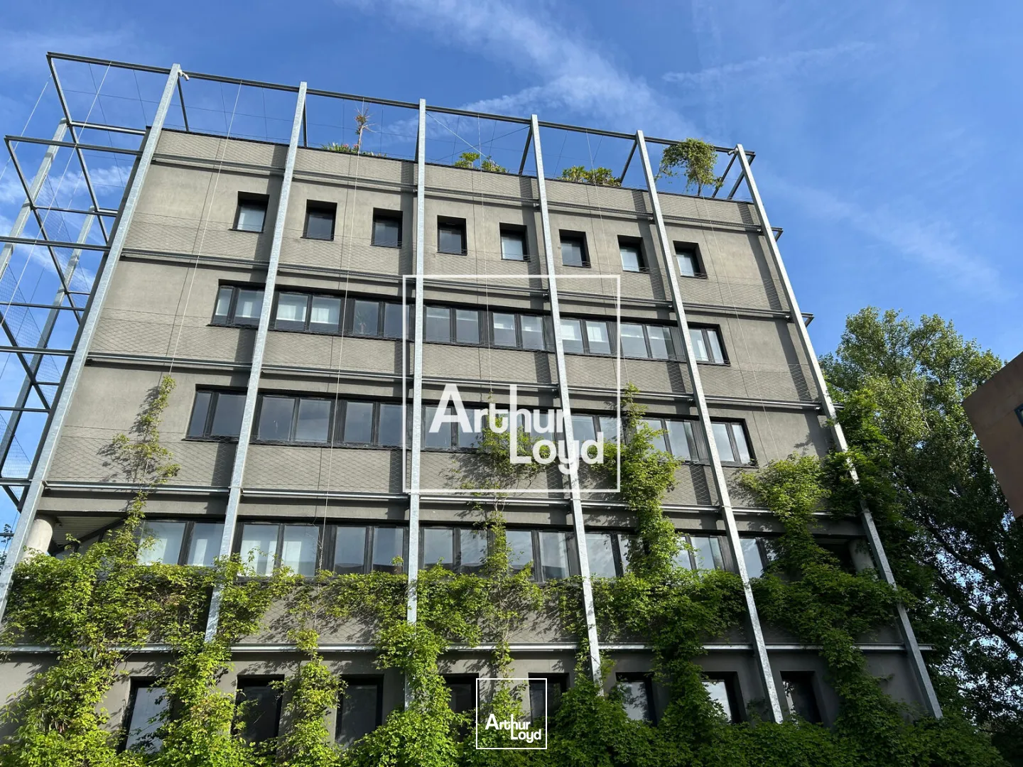 Bureaux - Location - TOULOUSE - 31400 - 1631.6-2031.6 - 8064791