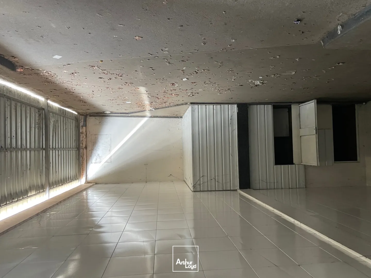 Locaux d'activité & Entrepôts - Vente - LE COTEAU - 42120 - 550-550 - 8065271