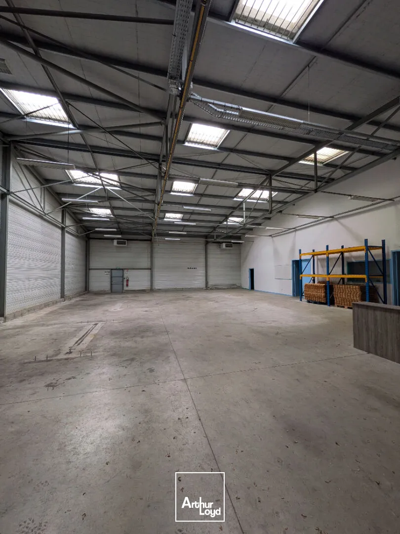 Locaux d'activité & Entrepôts - Vente - panazol - 87350 - 500-500 - 8067447