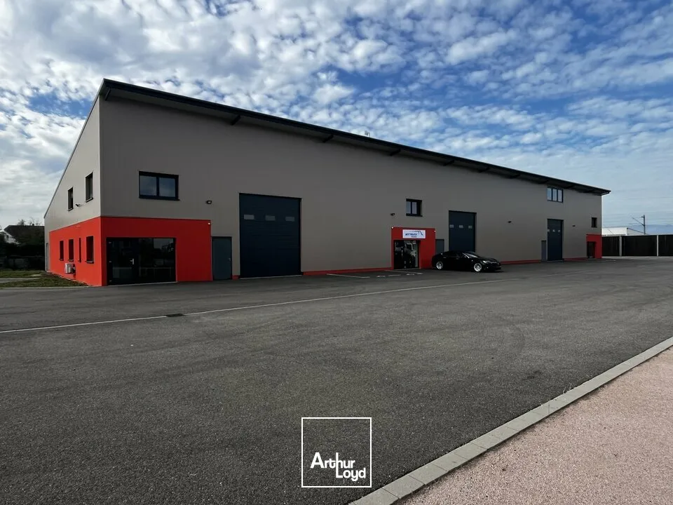 Locaux d'activité & Entrepôts - Location - BENFELD - 67230 - 352-352 - 8077086