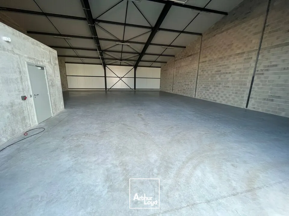 Locaux d'activité & Entrepôts - Location - BENFELD - 67230 - 352-352 - 8077087