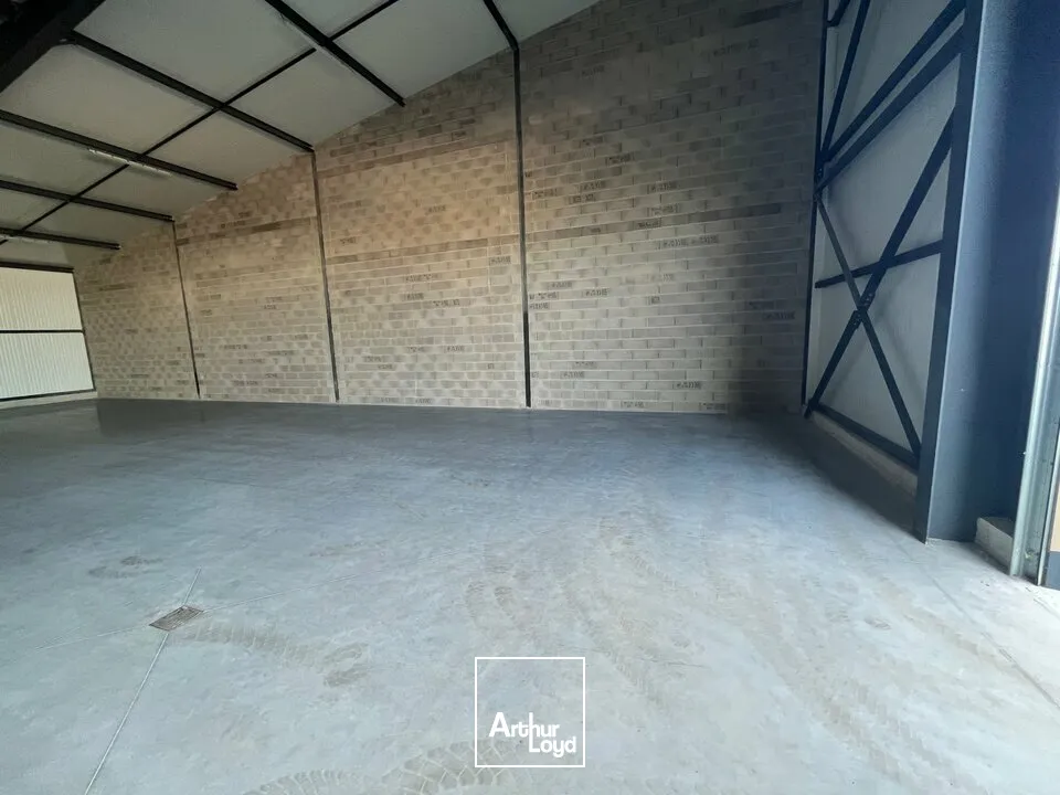 Locaux d'activité & Entrepôts - Location - BENFELD - 67230 - 352-352 - 8077088