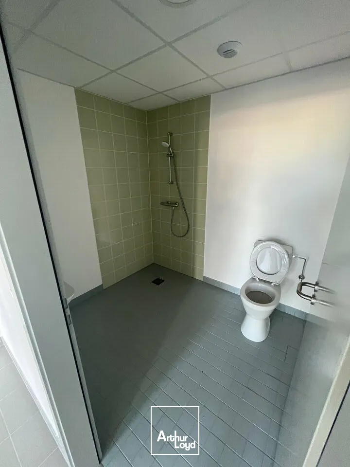 Locaux d'activité & Entrepôts - Location - BENFELD - 67230 - 352-352 - 8077089