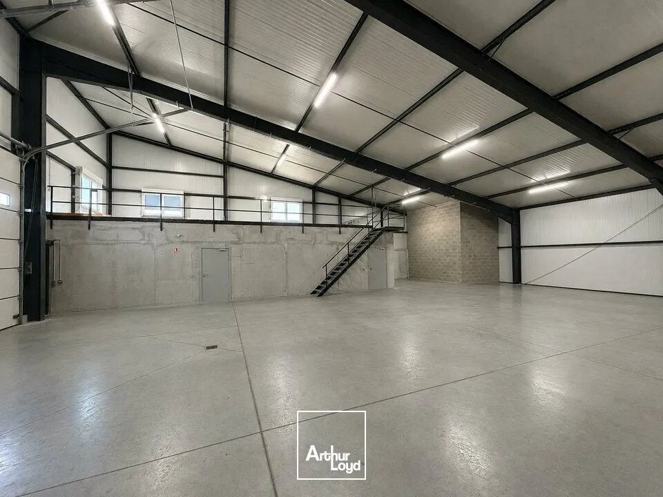 Locaux d'activité & Entrepôts - Location - BENFELD - 67230 - 407-407 - 8077101