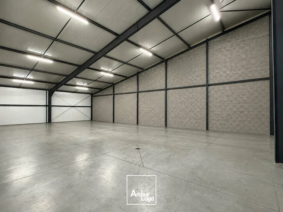 Locaux d'activité & Entrepôts - Location - BENFELD - 67230 - 407-407 - 8077102