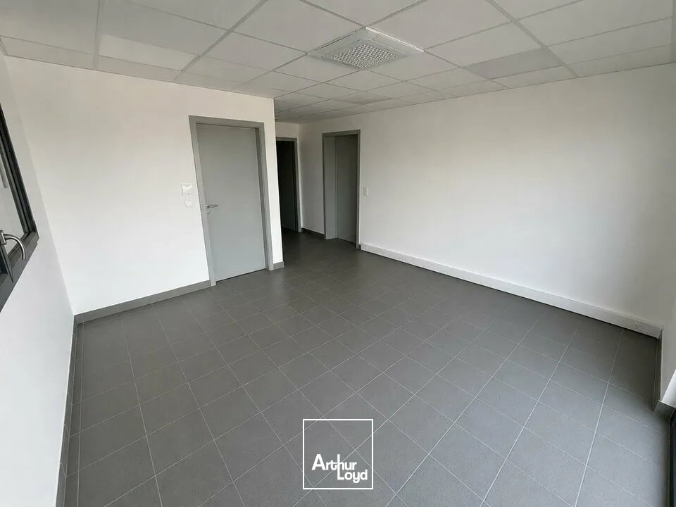Locaux d'activité & Entrepôts - Location - BENFELD - 67230 - 407-407 - 8077104