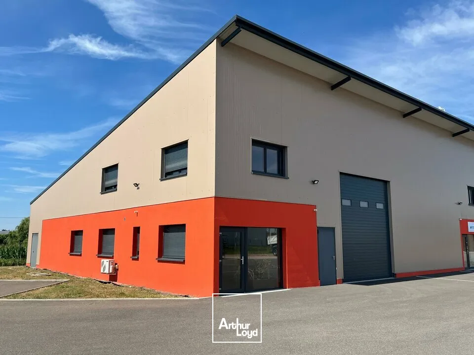 Locaux d'activité & Entrepôts - Location - BENFELD - 67230 - 407-407 - 8077106