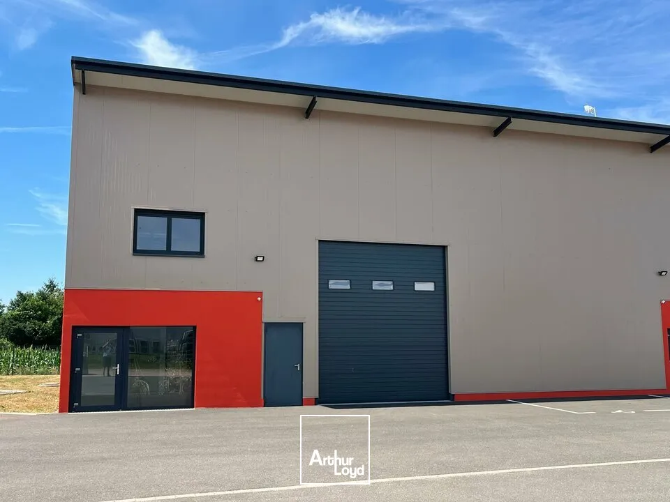 Locaux d'activité & Entrepôts - Location - BENFELD - 67230 - 407-407 - 8077107