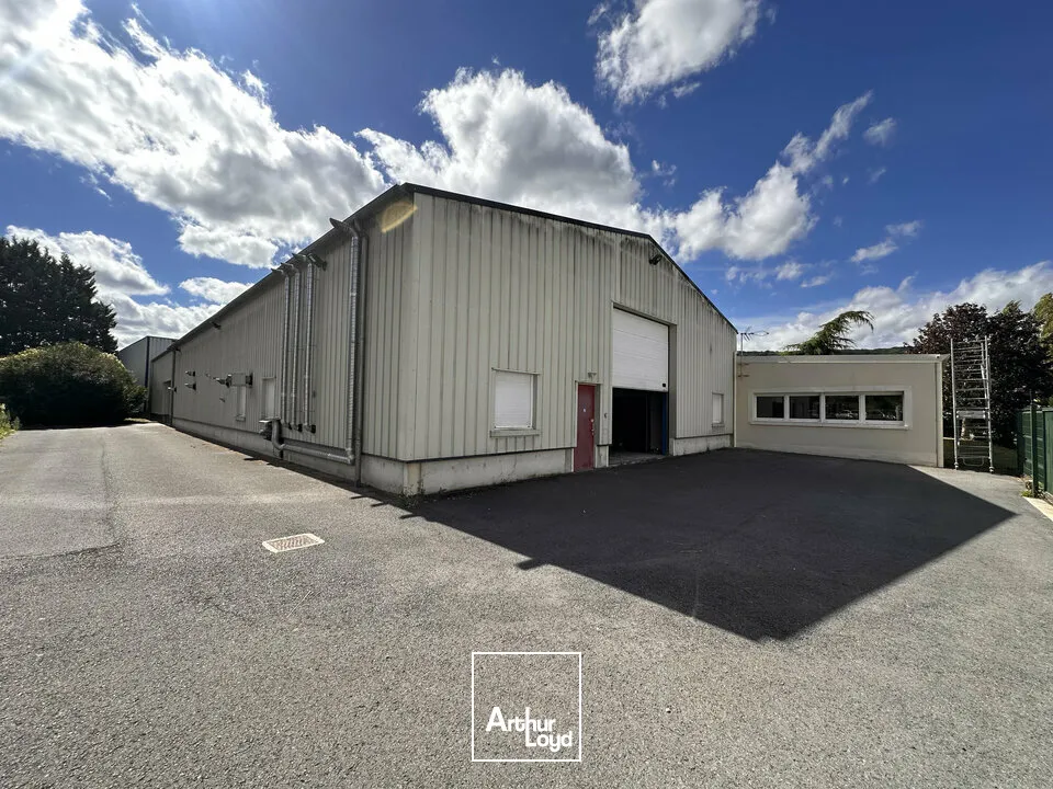 Locaux d'activité & Entrepôts - Vente - ÉPERNAY - 51200 - 1105-1105 - 8077199