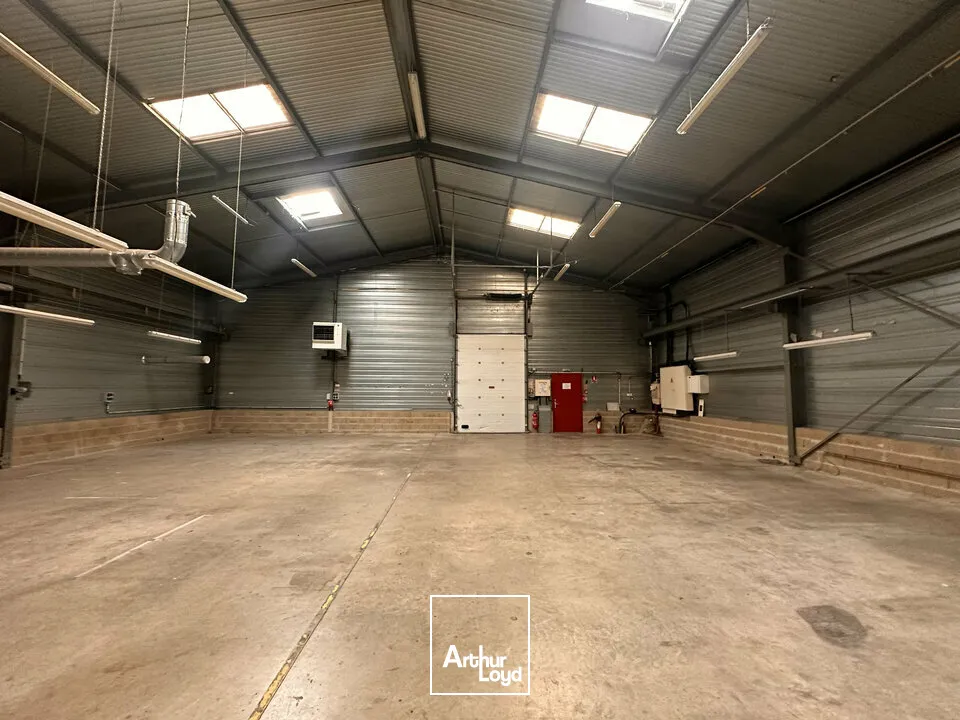 Locaux d'activité & Entrepôts - Vente - ÉPERNAY - 51200 - 1105-1105 - 8077204