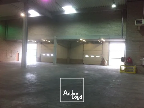 Locaux d'activité & Entrepôts - Location - ELANCOURT - 78990 - 534-534 - 8082331