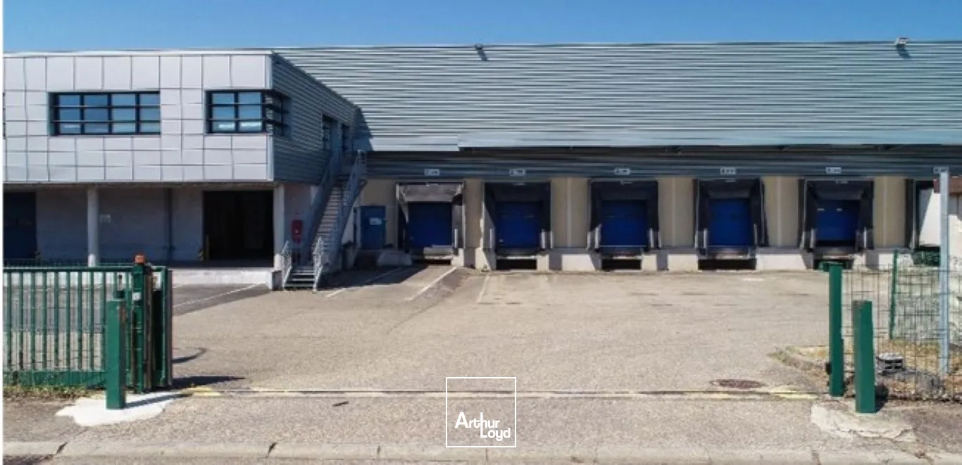 Logistique - Location - MIRIBEL - 01700 - 10750-10750 - 7776438
