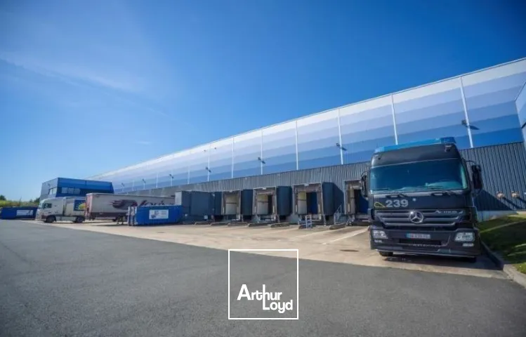 Logistique - Location - BEAULIEU SUR LAYON - 49750 - 31407-31407 - 7979275