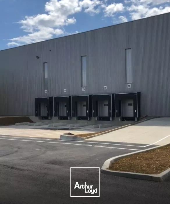 Surface logistique neuve